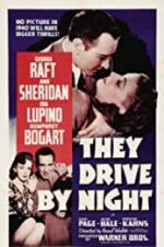 Watch They Drive by Night Megavideo