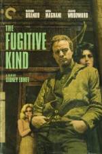 Watch The Fugitive Kind Megavideo