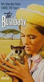 Watch The Bushbaby Megavideo