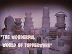 Watch The Wonderful World of Tupperware (Short 1965) Megavideo