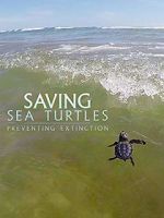 Watch Saving Sea Turtles: Preventing Extinction Megavideo