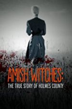 Watch Amish Witches: The True Story of Holmes County Megavideo