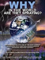 Watch WHY in the World Are They Spraying? Megavideo