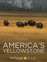 Watch America\'s Yellowstone Megavideo