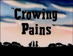 Watch Crowing Pains (Short 1947) Megavideo