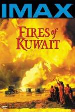 Watch Fires of Kuwait Megavideo