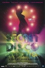 Watch The Secret Disco Revolution Megavideo
