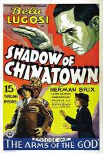 Watch Shadow of Chinatown Megavideo