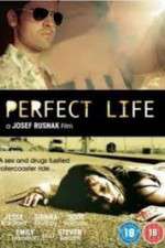 Watch Perfect Life Megavideo