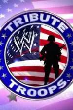 Watch WWE Tribute to the Troops Megavideo