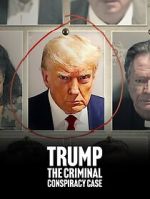 Watch Trump: The Criminal Conspiracy Case Megavideo