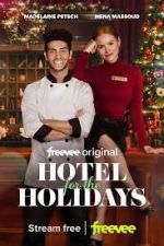 Watch Hotel for the Holidays Megavideo