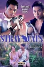 Watch Stray Cats Megavideo