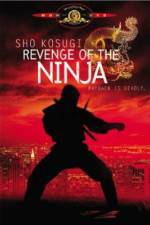 Watch Revenge of the Ninja Megavideo