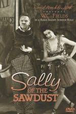 Watch Sally of the Sawdust Megavideo