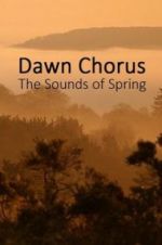 Watch Dawn Chorus: The Sounds of Spring Megavideo