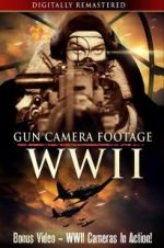 Watch Gun Camera Footage WWII Megavideo