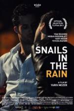 Watch Snails in the Rain Megavideo