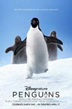 Watch Penguins Megavideo