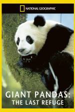 Watch National Geographic Giant Pandas The Last Refuge Megavideo