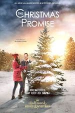 Watch The Christmas Promise Megavideo