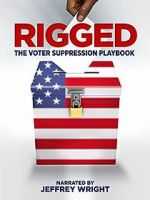 Watch Rigged: The Voter Suppression Playbook Megavideo