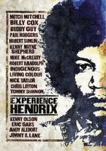 Watch Experience Jimi Hendrix Megavideo