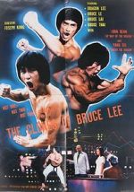 Watch The Clones of Bruce Lee Megavideo