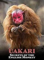 Watch Uakari: Secrets of the English Monkey Megavideo