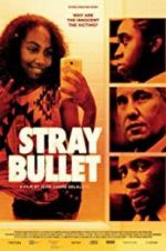 Watch Stray Bullet Megavideo