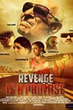 Watch Revenge Is a Promise Megavideo