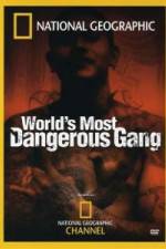 Watch National Geographic World's Most Dangerous Gang Megavideo