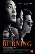 Watch Burning Megavideo