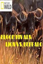 Watch National Geographic - Blood Rivals: Lion vs. Buffalo Megavideo