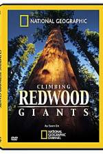 Watch National Geographic Explorer: Climbing Redwood Giants Megavideo