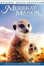 Watch Meerkat Manor The Story Begins Megavideo