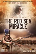 Watch Patterns of Evidence: The Red Sea Miracle Megavideo