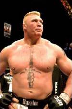 Watch Brock Lesnar 7 Fights Megavideo