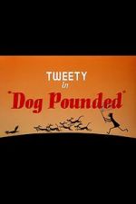 Watch Dog Pounded (Short 1954) Megavideo