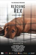 Watch Rescuing Rex Megavideo