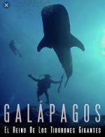 Watch Galapagos: Realm of Giant Sharks Megavideo