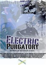 Watch Electric Purgatory: The Fate of the Black Rocker Megavideo