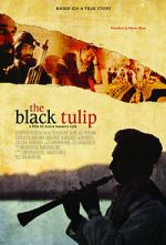 Watch The Black Tulip Megavideo