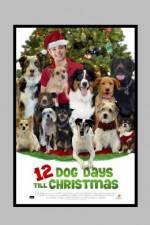 Watch 12 Dog Days of Christmas Megavideo