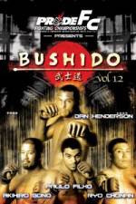 Watch Pride Bushido 12 Megavideo