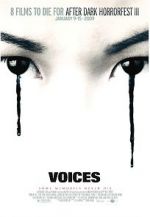Watch Voices Megavideo