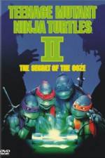 Watch Teenage Mutant Ninja Turtles II: The Secret of the Ooze Megavideo