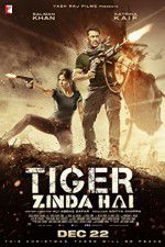 Watch Tiger Zinda Hai Megavideo