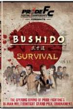 Watch Pride Bushido 11 Megavideo