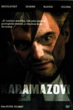 Watch The Karamazov Brothers Megavideo